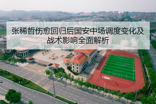 张稀哲伤愈回归后国安中场调度变化及战术影响全面解析