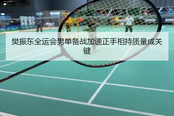 樊振东全运会男单备战加速正手相持质量成关键