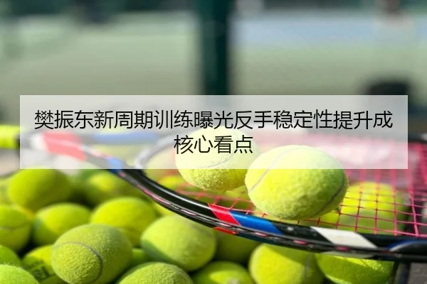 樊振东新周期训练曝光反手稳定性提升成核心看点